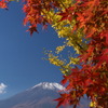 紅葉と富士山