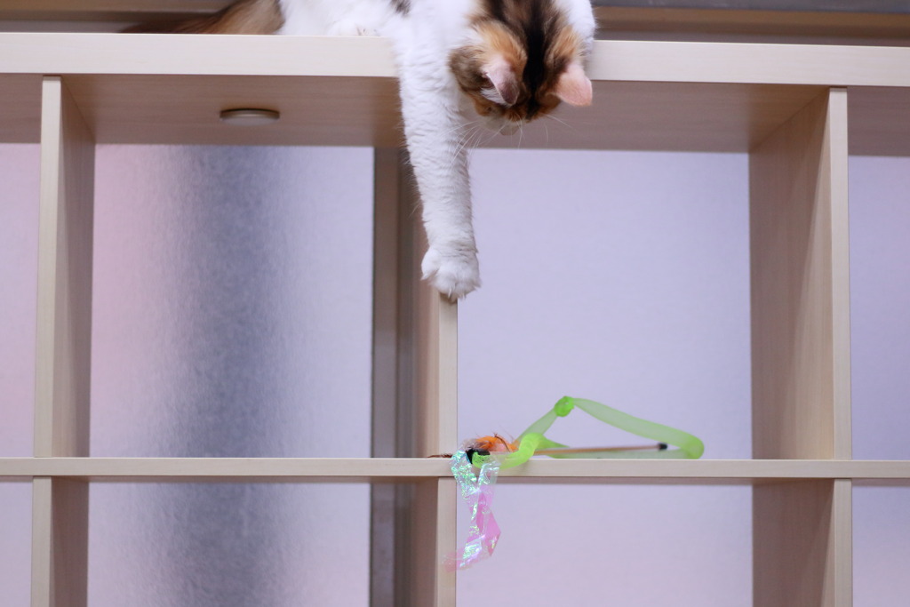 もう少し！