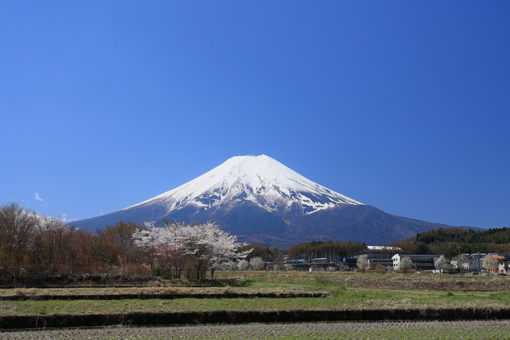 麓の農村にも春が来た