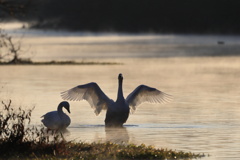 俺って凄いだろ