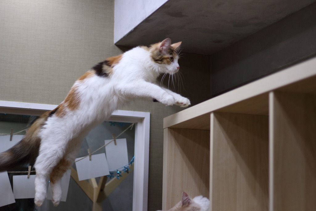 JUMP！