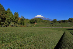 大渕笹場