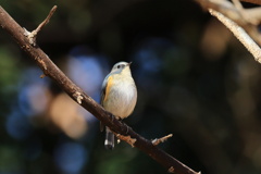 物思いにふける