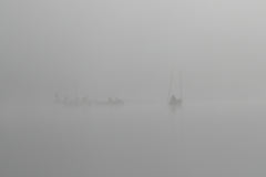 朝霧の中の漁