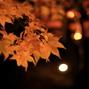 秋の灯り