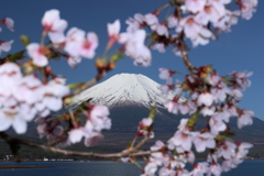 春の覗き富士