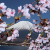 春の覗き富士