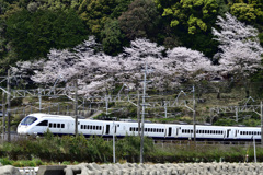 長崎本線　さくらとかもめ