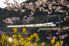 春の長崎本線　白いかもめ