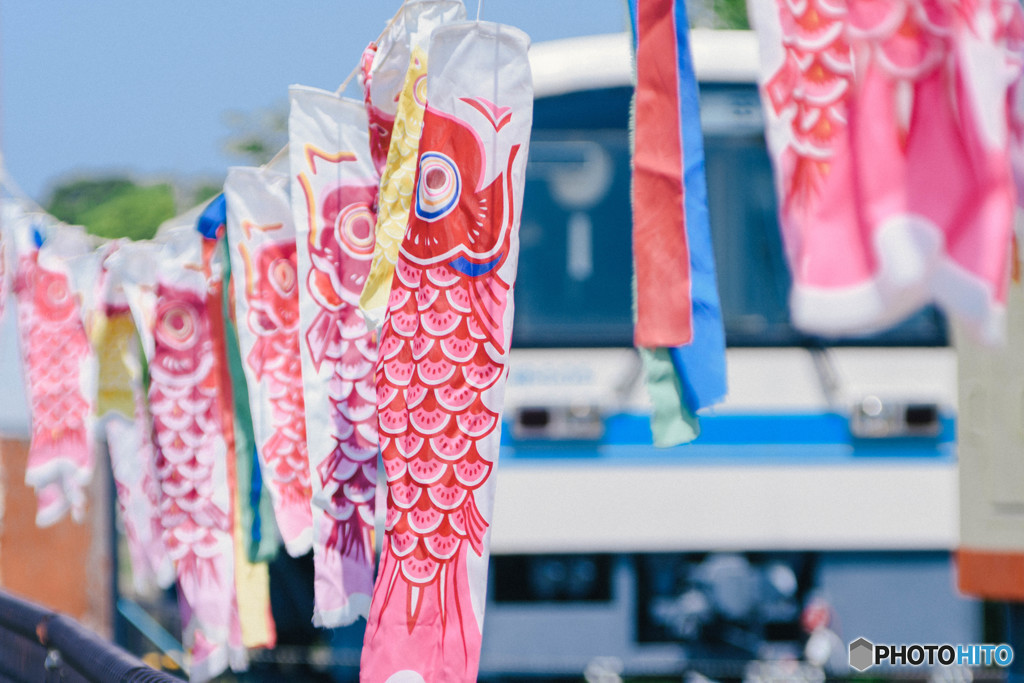 12年目の5月