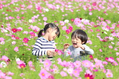 満開のコスモス畑で満面の笑み