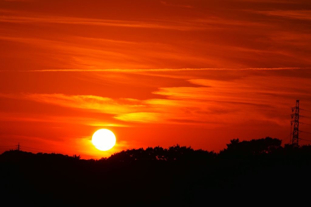 とある日の夕日