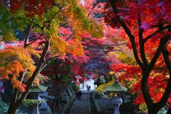 長野　清水寺