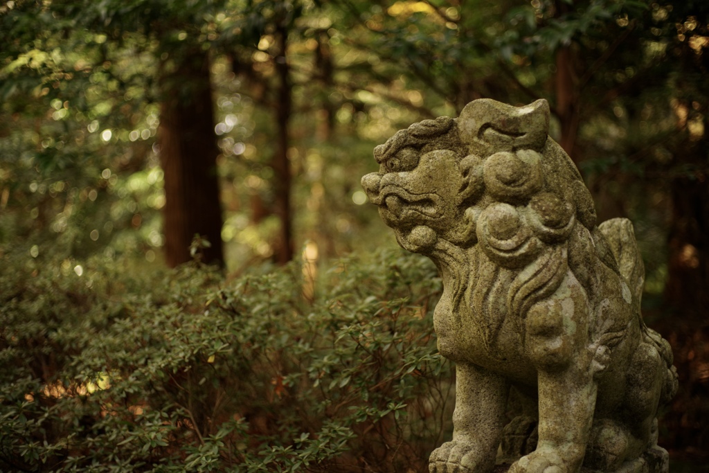 太玉神社 阿形