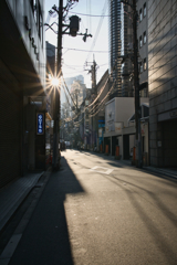 纏わる日差しに、永遠の暑さをみる