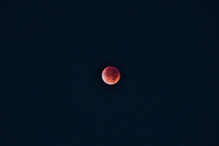 空に星があるように