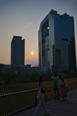 それぞれの想いをめぐれせ、今日も過ぎゆく夏の夕暮れ