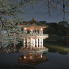 妖艶に咲き誇れ・桜花