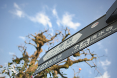 気分次第で・・・(^^)