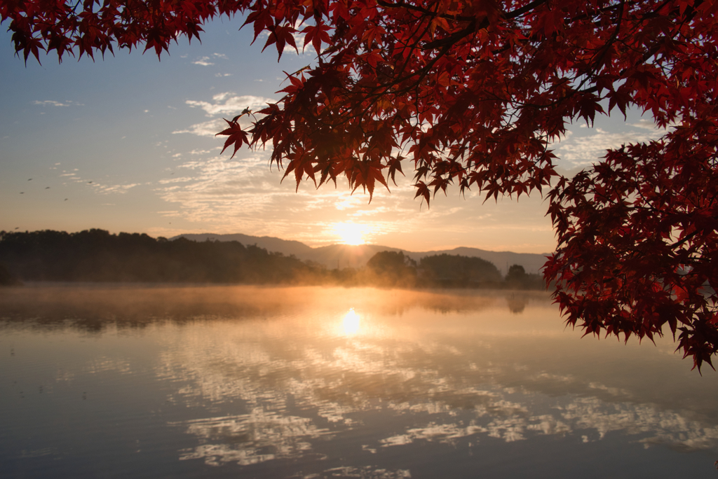 紅に染まりて・・・秋