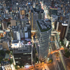 迷えぬ帰路