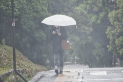 嫌いじゃない雨もあるのよ