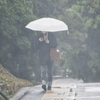 嫌いじゃない雨もあるのよ