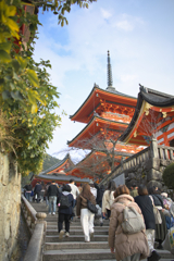 いざ、清水の舞台へ