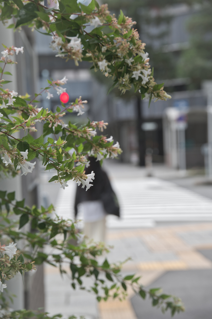 過ぎ去りし日々
