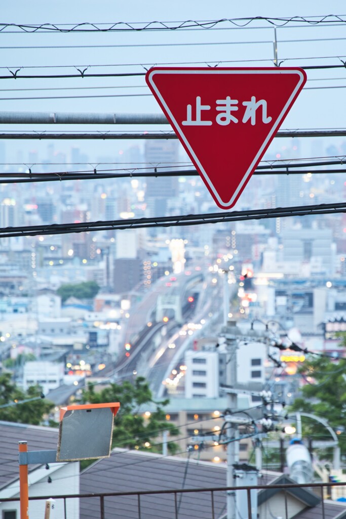 たまには立ち止まって振り返ろ～