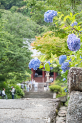 見て見て・ここに居るよ(^^)