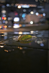 雨上がりのシンフォニー