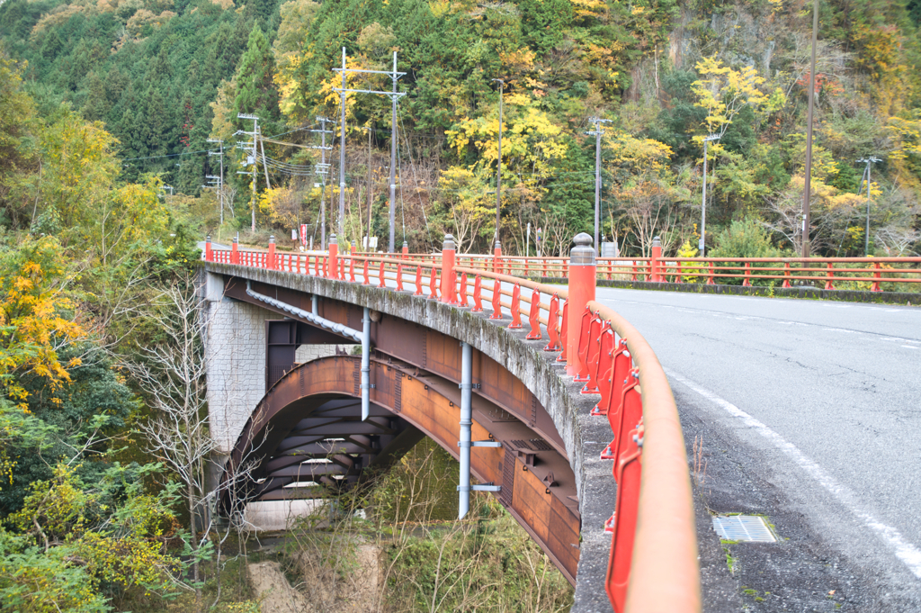 紅葉に気も高揚