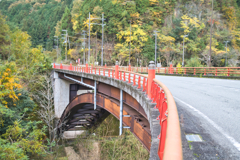 紅葉に気も高揚