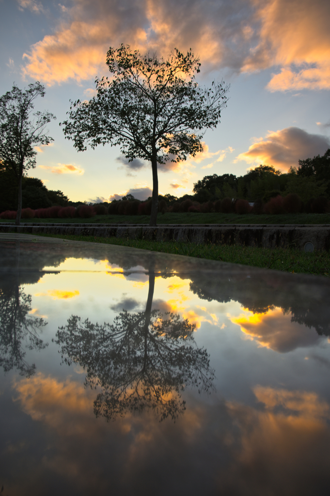 喧騒がすぎ、たたずむ秋の夕