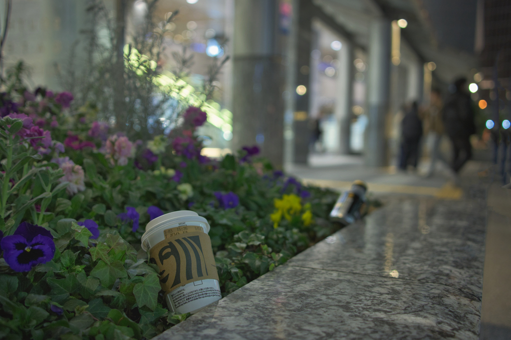 バカ！ばっかりじゃ～