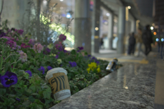 バカ！ばっかりじゃ～