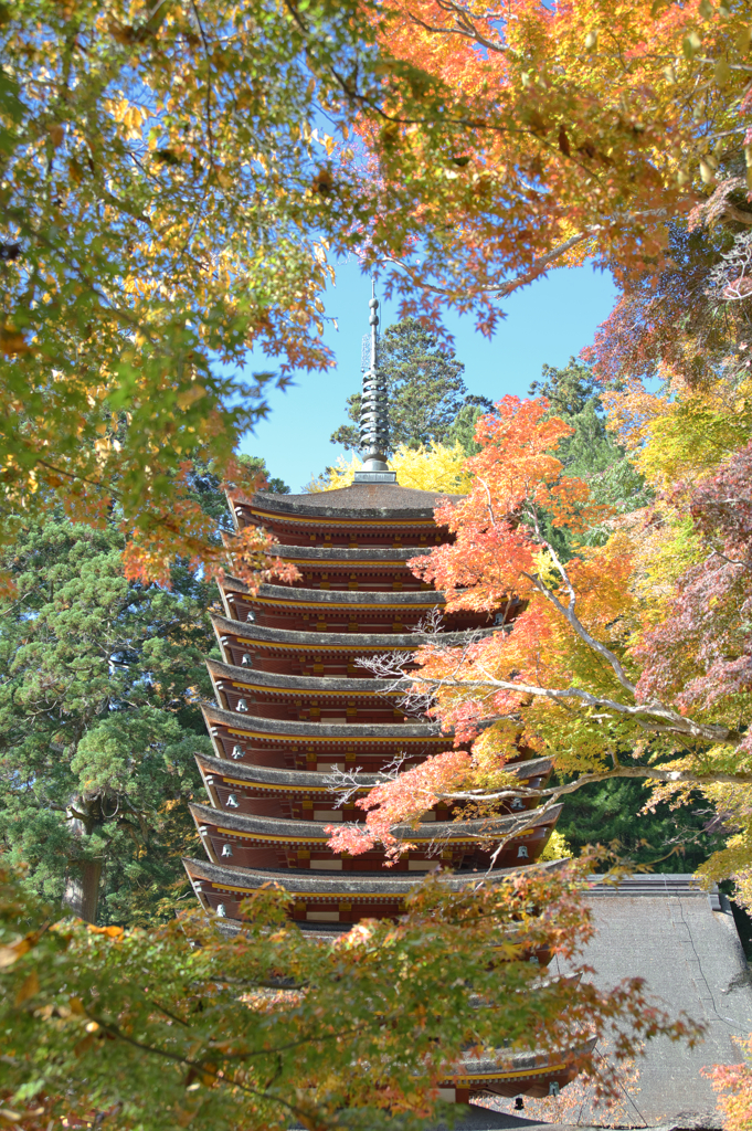 秋色かさね、季の旅は続く