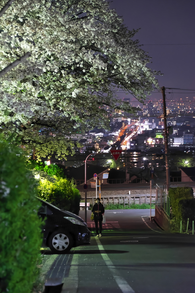 見上げれば、幸の中♪