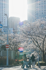 ゆるりと歩めば、もう其処に・・・(^^)
