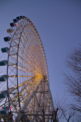 もう一度、続きを見たくて