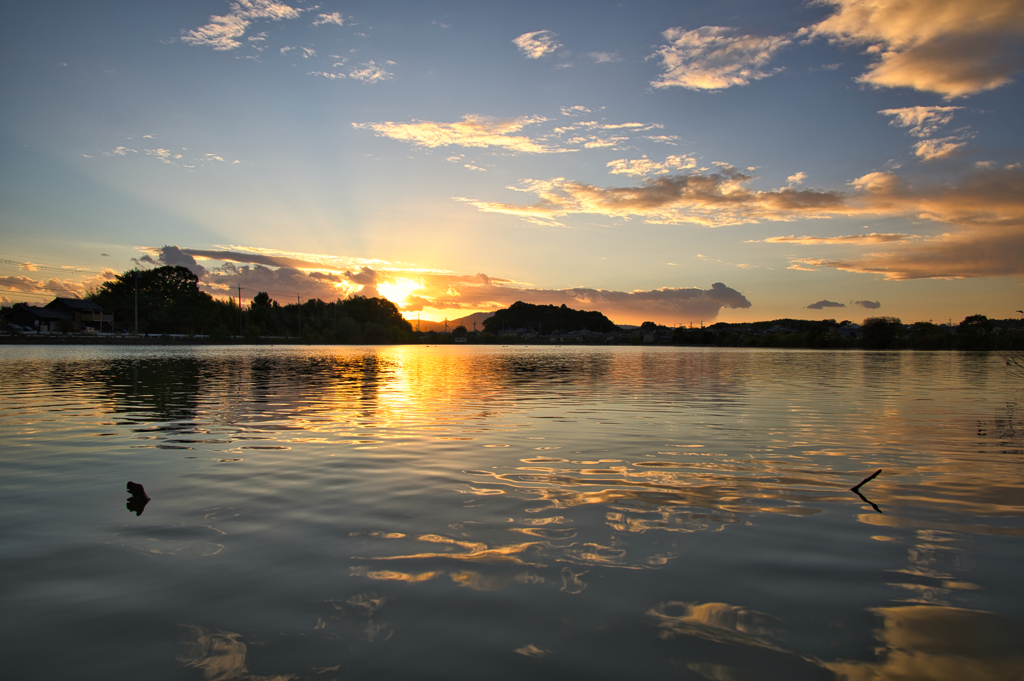 短い秋の夕、彩り