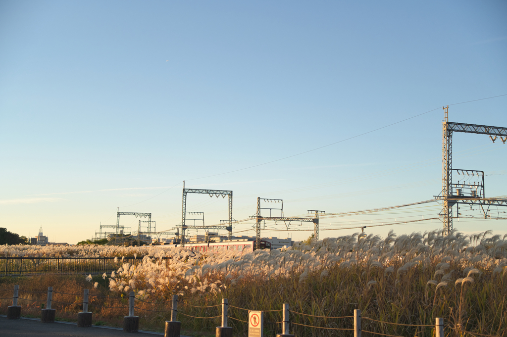 足早に過ぎゆく秋色