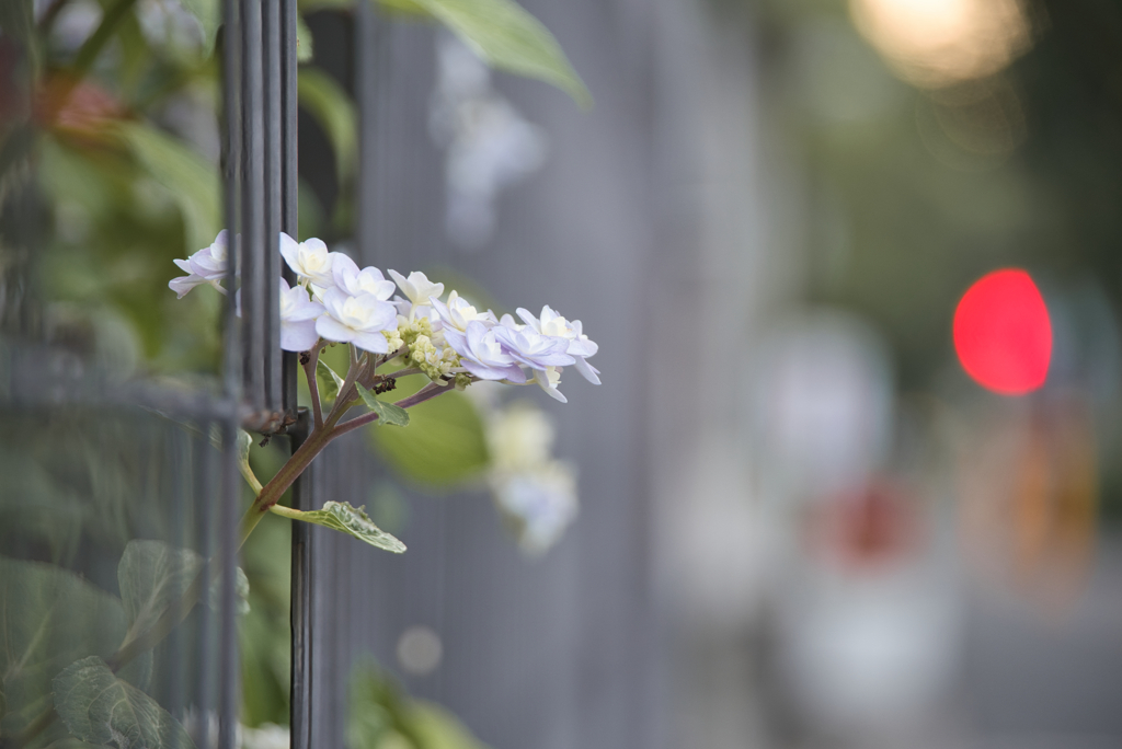 希望という名の明日を見つめて