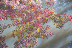 光の波に照らされて