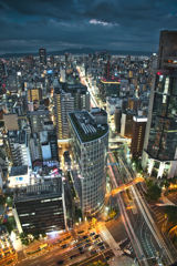 夜会に翔ける