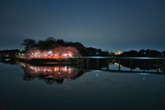 うごめく欲望の春夜会
