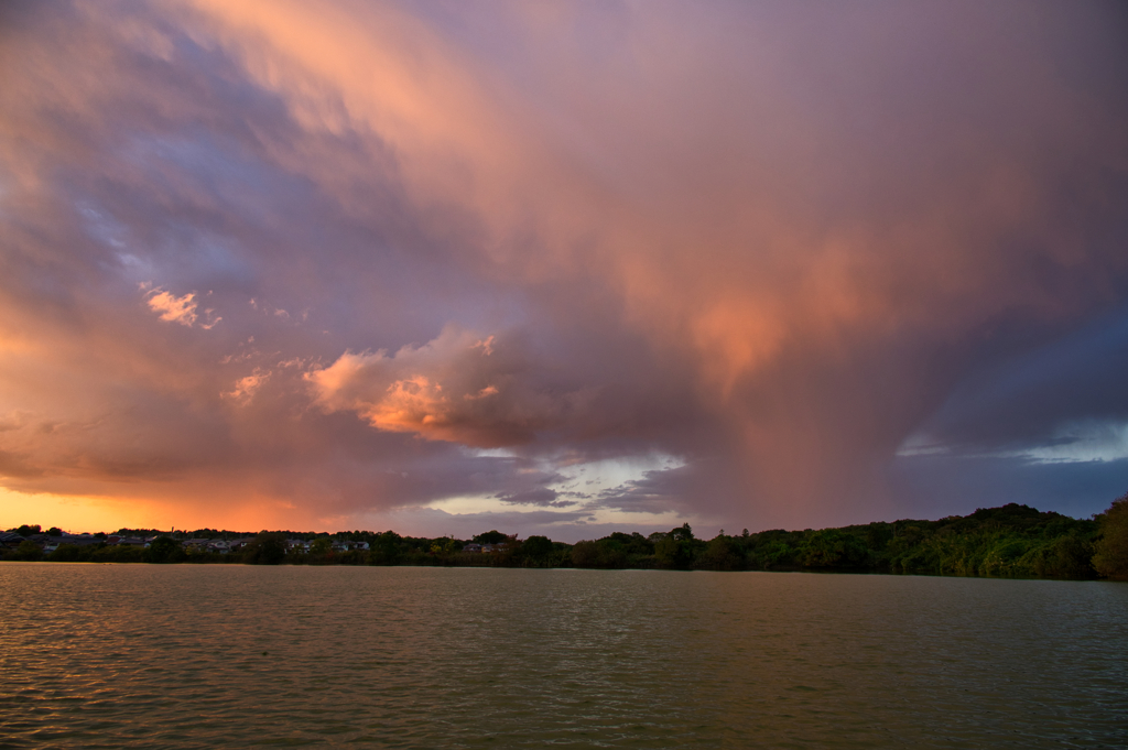 優しい雨に、うたれたなら