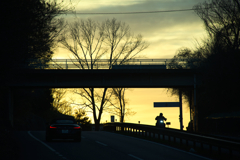 朝陽を背に、今日も行く