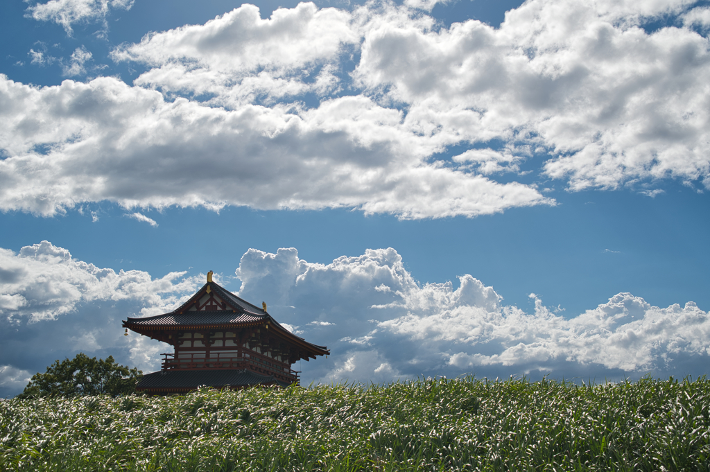 夏模様
